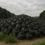 Thumbnail of post image 029